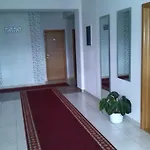 Maks Kiseljak